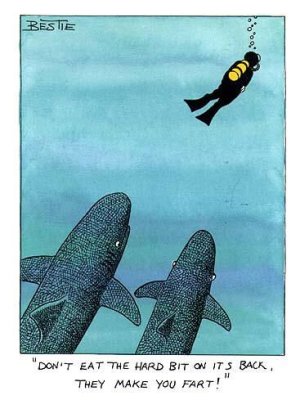 a7d8d45a4cc174667213bb41d18940ba.jpg a7d8d45a4cc174667213bb41d18940ba.jpg