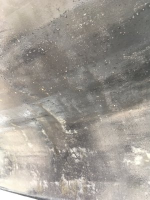 IMG_0666.jpeg