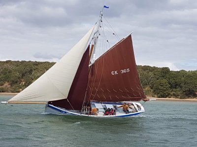 WhatsApp Image 2025-06-08 at 11.08.37_faee45c3.jpg