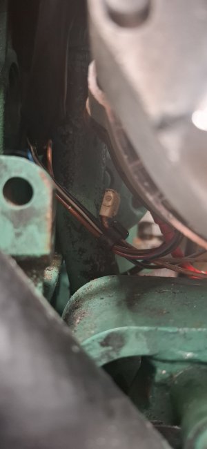 light brown wire crimped of in terminal block.jpg