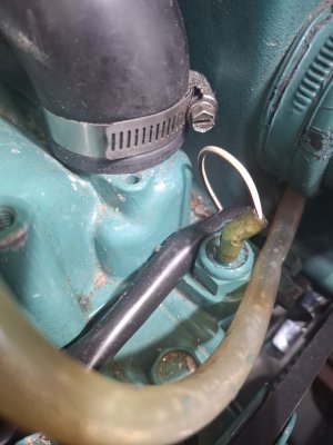 relay switch with white and brown wire.jpg