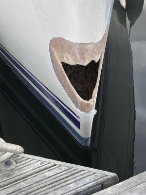 IMG_1888 1000pix.jpg IMG_1888 1000pix.jpg