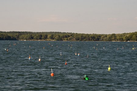 buoys.jpg