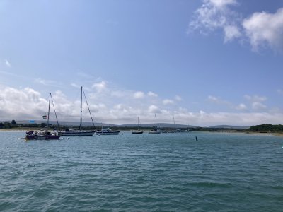 IMG_1909.jpeg IMG_1909.jpeg