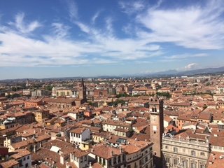 IMG_4037.JPG IMG_4037.JPG