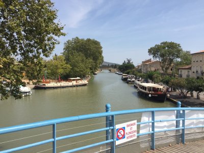 IMG_5339.jpeg IMG_5339.jpeg