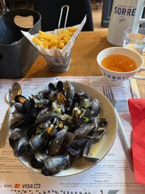 IMG_8514.jpeg IMG_8514.jpeg