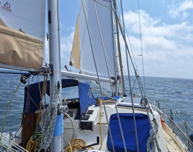 Screenshot_20250618_115812_Gallery.jpg Screenshot_20250618_115812_Gallery.jpg