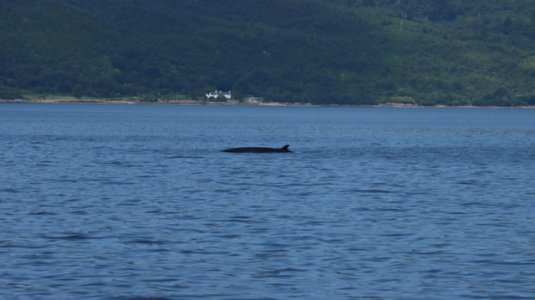 IMG_0677.jpeg IMG_0677.jpeg