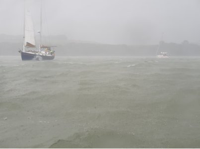 Screenshot_20250622_220217_Gallery.jpg Screenshot_20250622_220217_Gallery.jpg