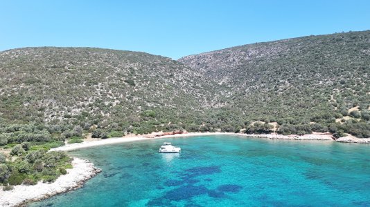 dji_fly_20250624_113830_0057_1750759177328_photo.jpg dji_fly_20250624_113830_0057_1750759177328_photo.jpg