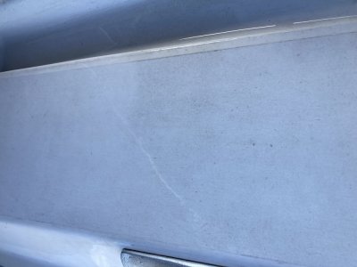 IMG_1996 1000pix.jpg