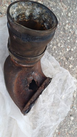 WhatsApp Image 2025-07-07 at 12.00.38.jpeg WhatsApp Image 2025-07-07 at 12.00.38.jpeg