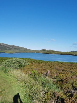 WhatsApp Image 2025-07-08 at 17.05.52_b01cd120.jpg