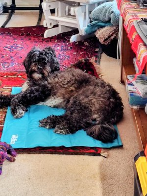 WhatsApp Image 2025-07-11 at 20.08.18_dfe24bea.jpg