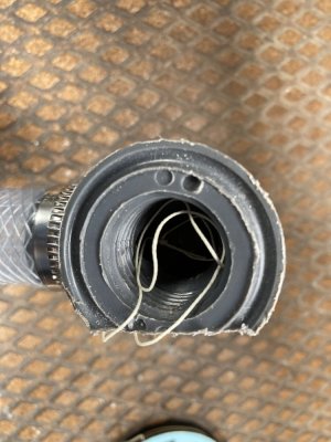 IMG_3591 1000pix.jpg