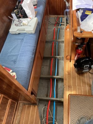 IMG_3689 1000pix.jpg