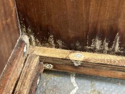 IMG_2177 1000pix.jpg