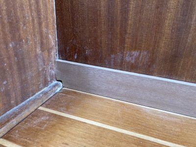 IMG_2447 1000pix.jpg