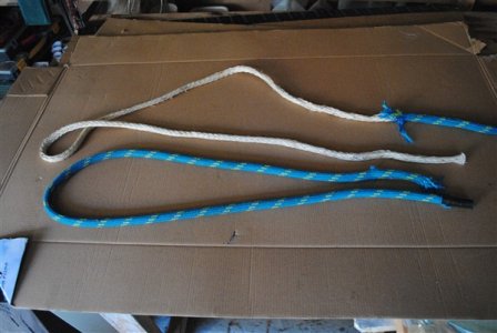 DSC_0002 (600 x 402).jpg