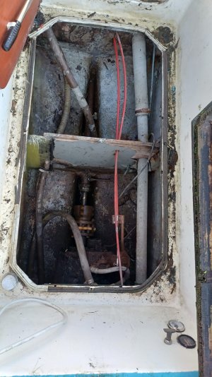 WhatsApp Image 2025-08-02 at 18.49.24.jpeg