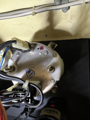 IMG_4075.jpeg IMG_4075.jpeg