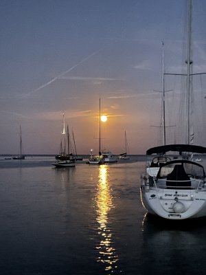 IMG_4525.jpeg