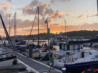 IMG_2310 1000pix.jpg