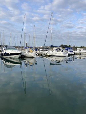 IMG_2313 1000pix.jpg