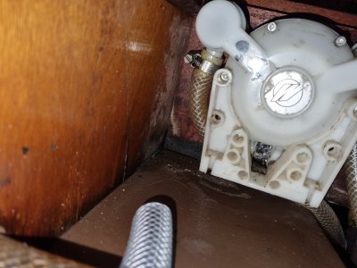 20250813_101150.jpg 20250813_101150.jpg