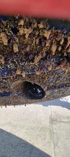 WhatsApp Image 2025-08-14 at 19.11.58_0c4c5355.jpg