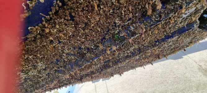 WhatsApp Image 2025-08-14 at 19.11.58_c9633443.jpg