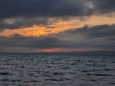 20250729_063219.jpg 20250729_063219.jpg