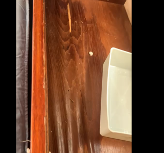 Screenshot 2025-08-27 043426.png