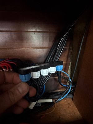 WhatsApp Image 2025-08-29 at 16.50.07_634cb478.jpg