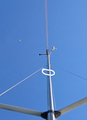 20250510_175745 (1).jpg