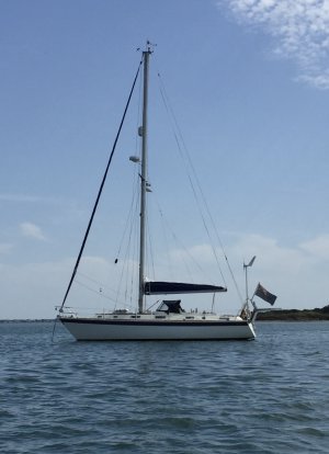 IMG_5464.jpeg IMG_5464.jpeg