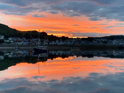 IMG_6185 1000pix.jpg