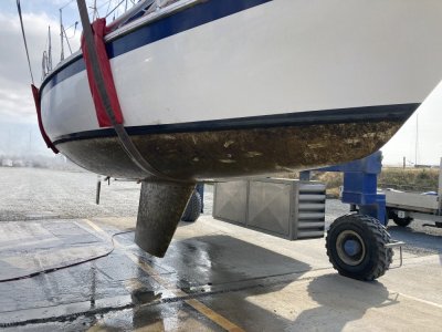 IMG_2343 1000pix.jpg