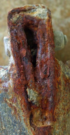 IMG_1165~photo.jpeg IMG_1165~photo.jpeg