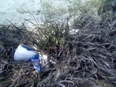 IMG_8571.jpeg IMG_8571.jpeg