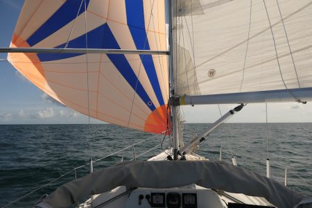 IMG_0309.jpeg IMG_0309.jpeg