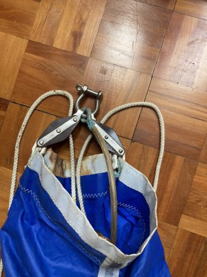 IMG_2037.jpeg IMG_2037.jpeg