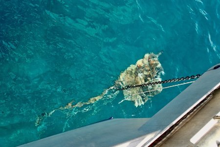 You_Doodle_2025-09-19T02_10_21Z.jpeg You_Doodle_2025-09-19T02_10_21Z.jpeg