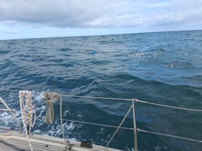 Crab Pots. small.jpg Crab Pots. small.jpg