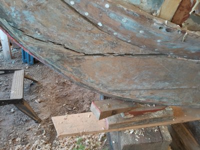 Forefoot 1.jpg Forefoot 1.jpg