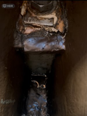 IMG_0571.jpeg IMG_0571.jpeg