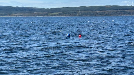 IMG_0613.jpeg IMG_0613.jpeg