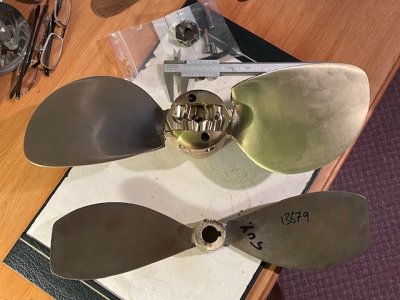 IMG_0317.jpeg IMG_0317.jpeg