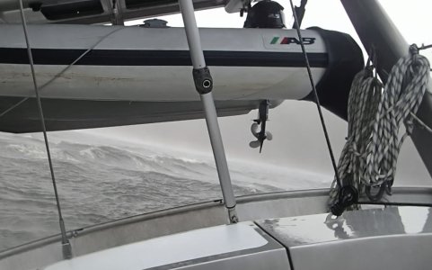 IMG_6375.jpeg IMG_6375.jpeg